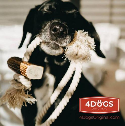 Rope Toy LOOP S, Hirschgeweih, 30cm, 35g