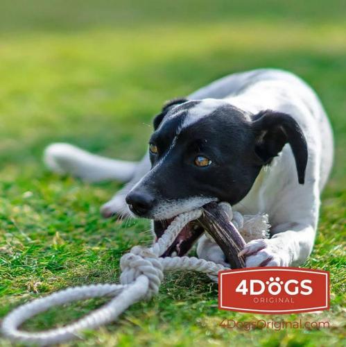 Rope Toy KNOT XXL+, Hirschgeweih, 50 cm, 230 g