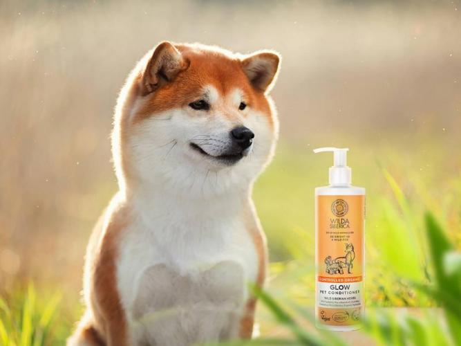 Wilda Siberica Spülung GLOW Hundespülung 400 ml