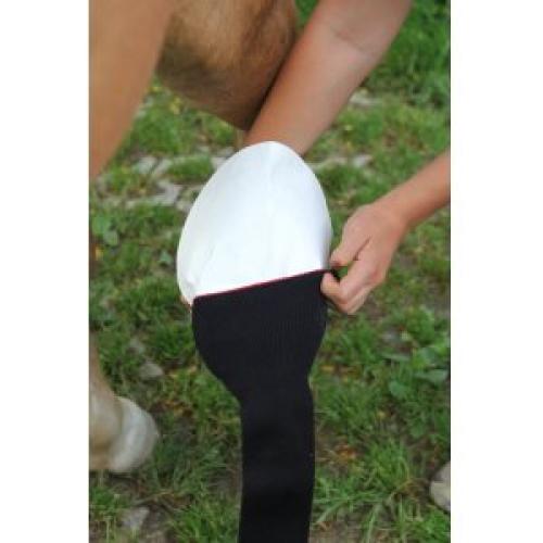 debo-kompressionsstrumpf-fur-pferde-effektive-unterstutzung-fur-sehnen-und-gelenke-preis-pro-strumpf-149220