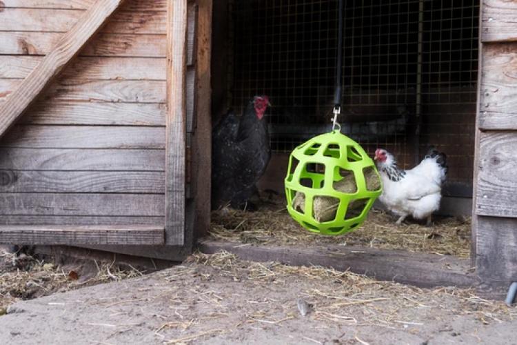 Lax Pickstange für Hühner 3,5 kg