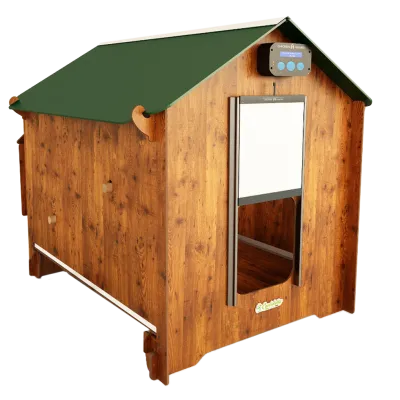 Hühnerstall Polly Classic XL