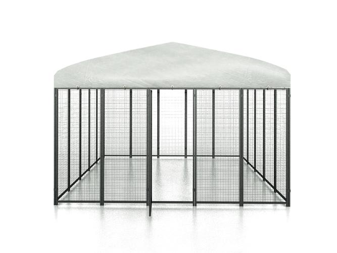 cucciolotta-polly-run-huhnerauslauf-147189