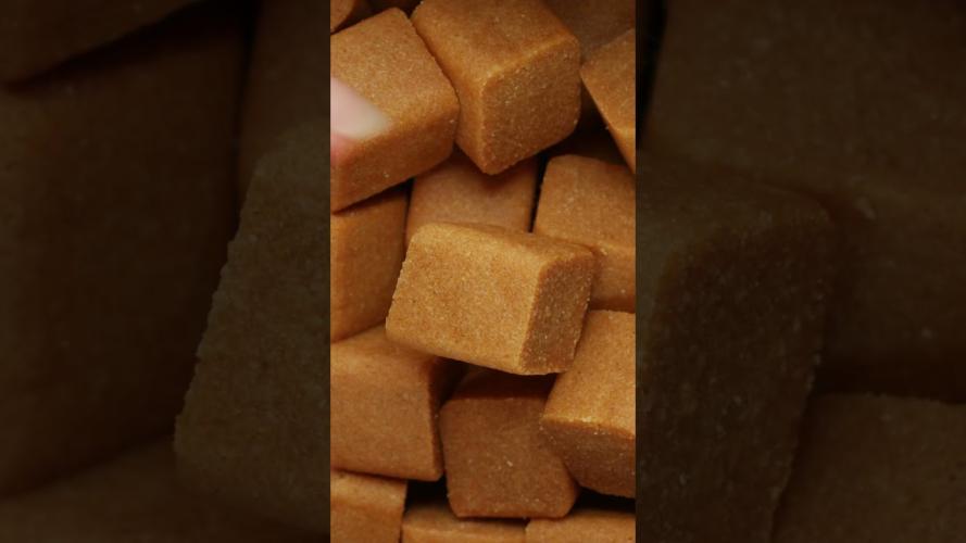 Excellent Pets Skin & Coat Soft Chews 120 Treats