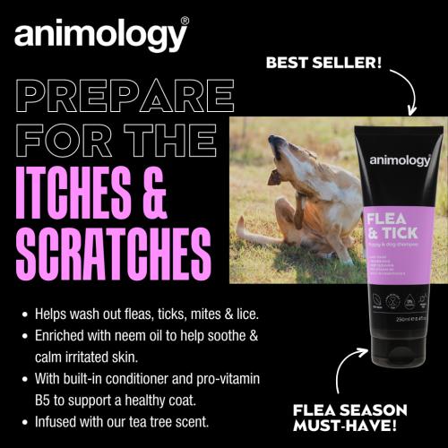 Animology Flea & Tick Dog Shampoo 250 ml