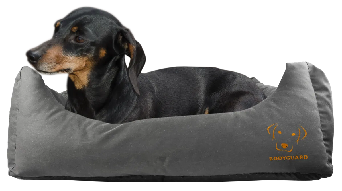 Bodyguard Sofa Bed Grau S