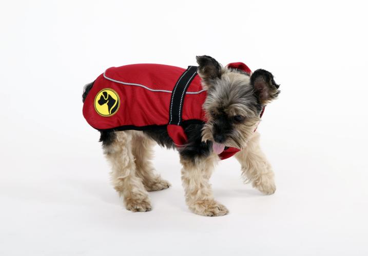 dog-armor-knockdown-coat-insect-shield-xxxxs-20cm-ruckenlange-144468