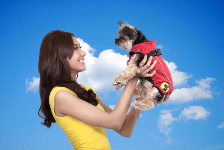 Dog Armor Knockdown Coat (Insect Shield) XXXXS (20cm rückenlänge)