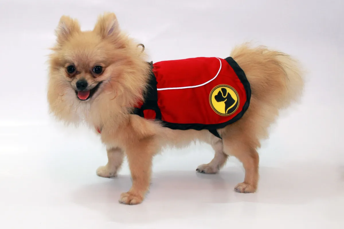 Dog Armor Knockdown Coat (Insect Shield) M (50cm rückenlange)