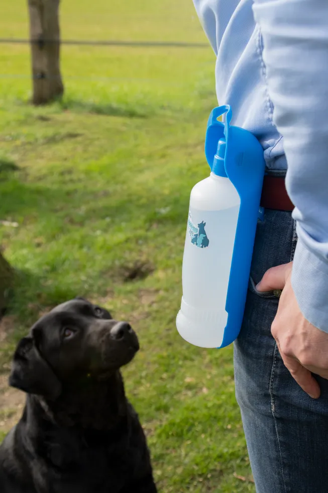 CoolPets Fresh 2GO 300 ml Wasserflasche für Hunde