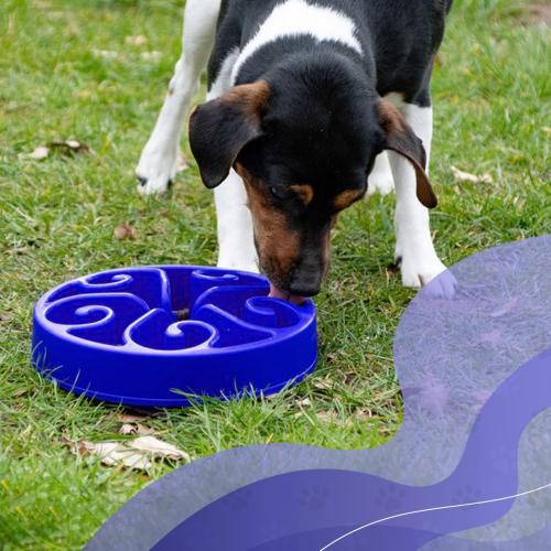 Eat Slow Live Longer Original Blau S