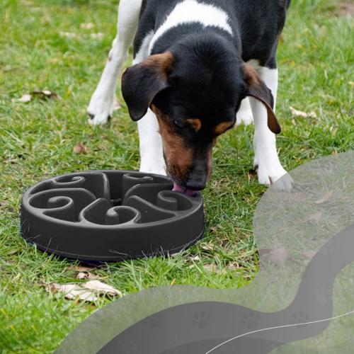 Eat Slow Live Longer Original Grau S