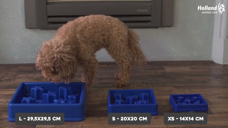 Eat Slow Live Longer Star Rosa L