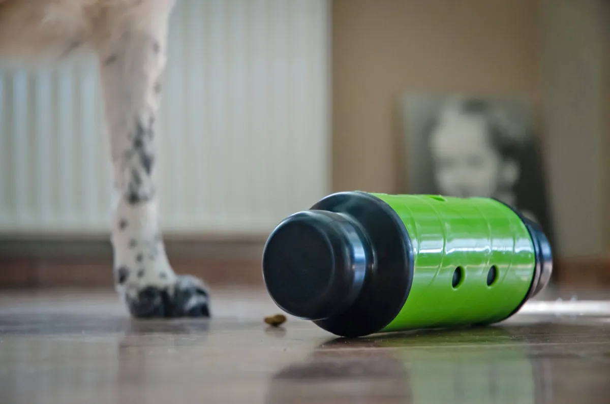 Eat Slow Live Longer Feed & Treat Roller Grün L