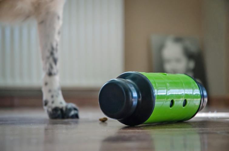 Eat Slow Live Longer Feed & Treat Roller Grün L