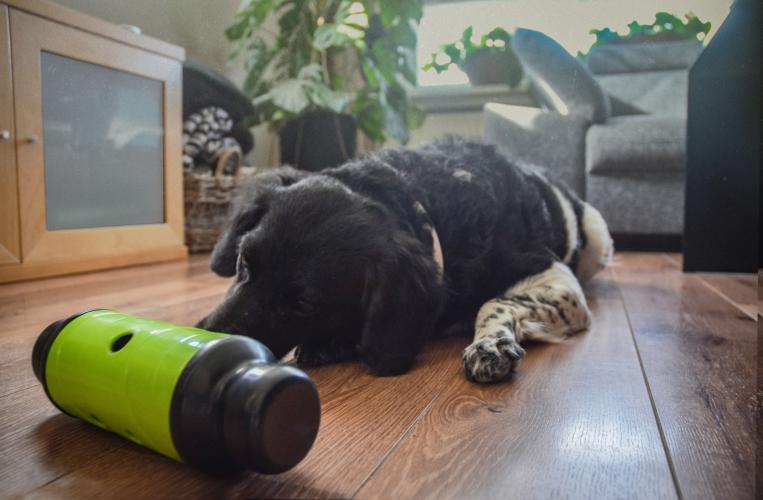 Eat Slow Live Longer Feed & Treat Roller Grün L