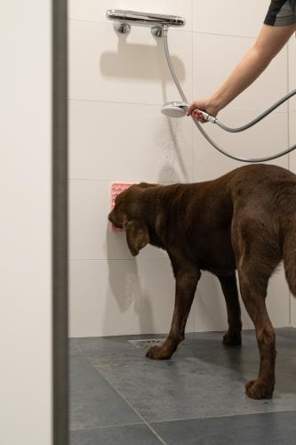 Eat Slow Live Longer Lick Mat Honeycomb Rosa