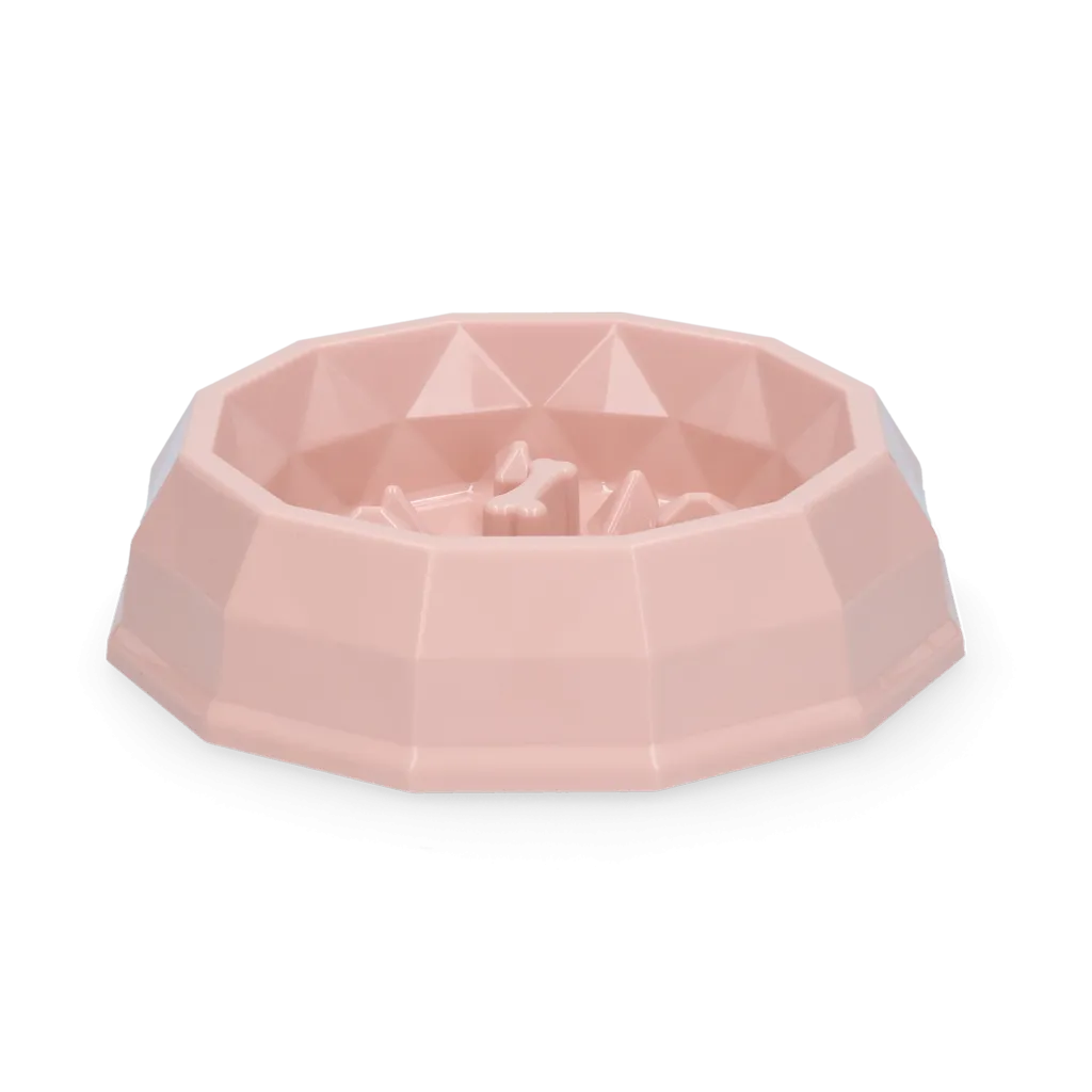Pawise My Slow Feeding Bowl S