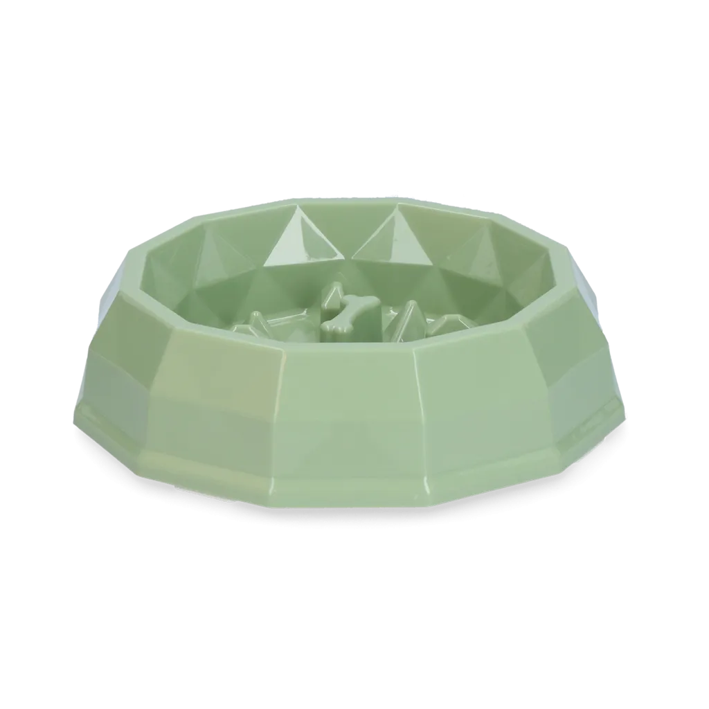 Pawise My Slow Feeding Bowl M