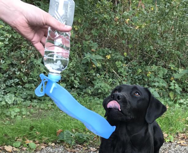 Pawise Travel Bottle 500 ml