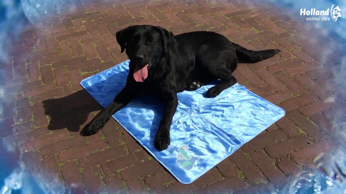 CoolPets Dog Mat 24/7 Anti-Slip Cover S