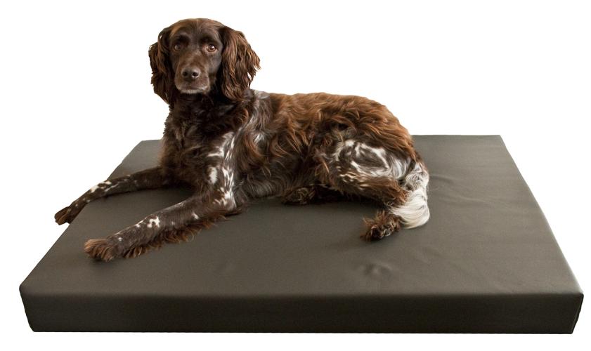 HD Dog Bed S