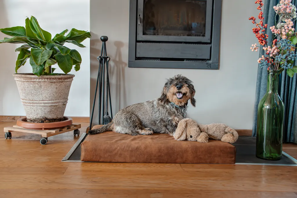 Let's Sleep Mellow Mattress Orthopädisches Bett XL Cognac