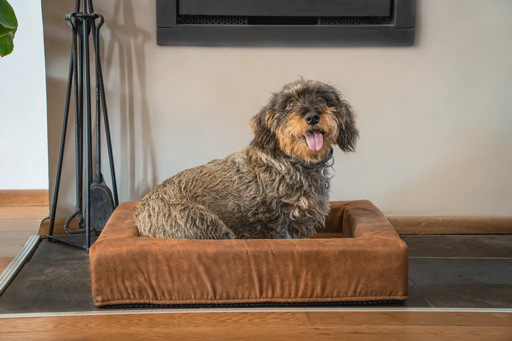 Let's Sleep Comfy Cushion Hundekorb M Anthrazit