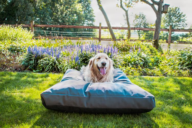 Let's Sleep Cushy Cloud Outdoor Hundebett L Anthrazit