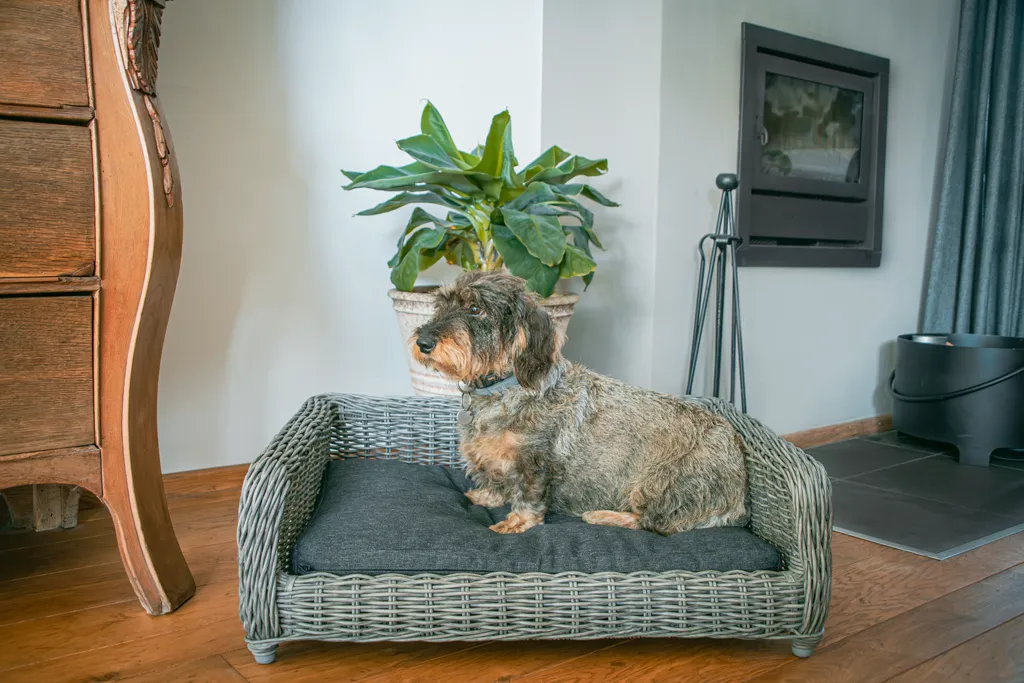 Let's Sleep Cozy Basket Weidenkorb Für Hunde L Anthrazit