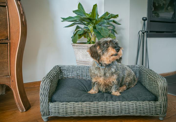 Let's Sleep Cozy Basket Weidenkorb Für Hunde L Anthrazit