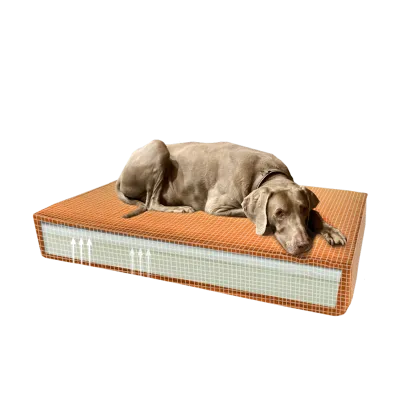 Madison Orthopädisches Kissen Velvet Orange S
