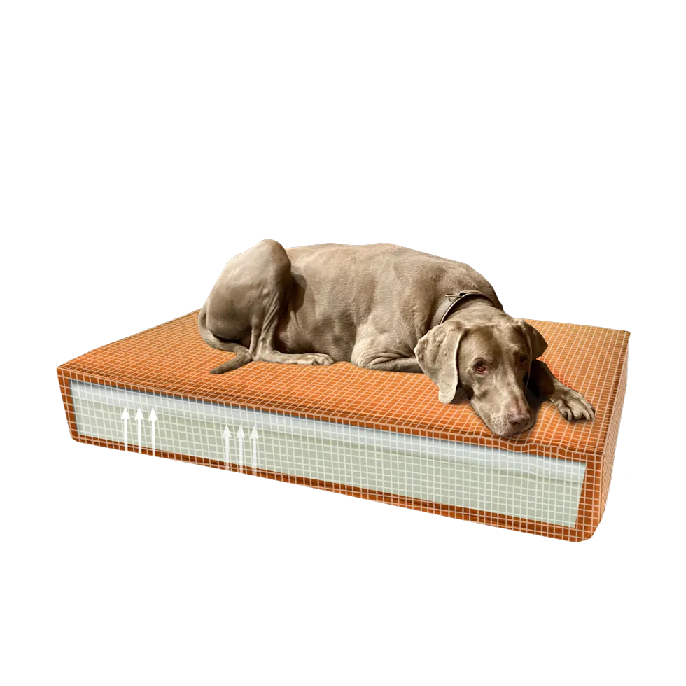 Madison Orthopädisches Kissen Velvet Orange S