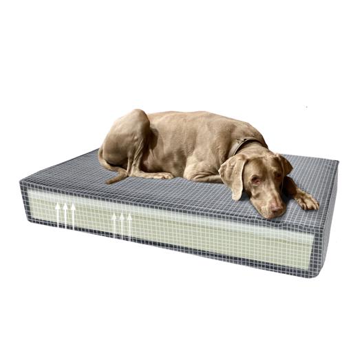 Madison Orthopädisches Kissen Velvet Orange S