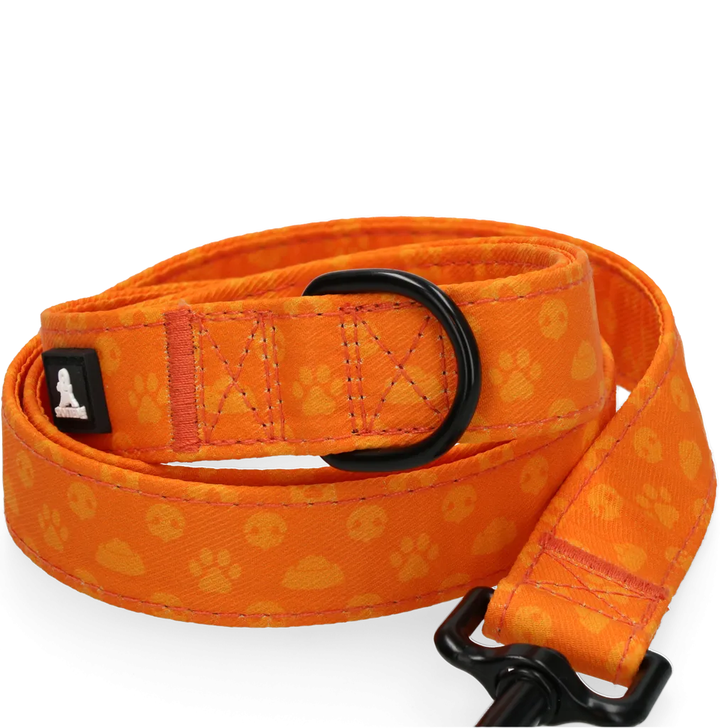 Spotted! Pro Perfect Leash 120 cm Orange
