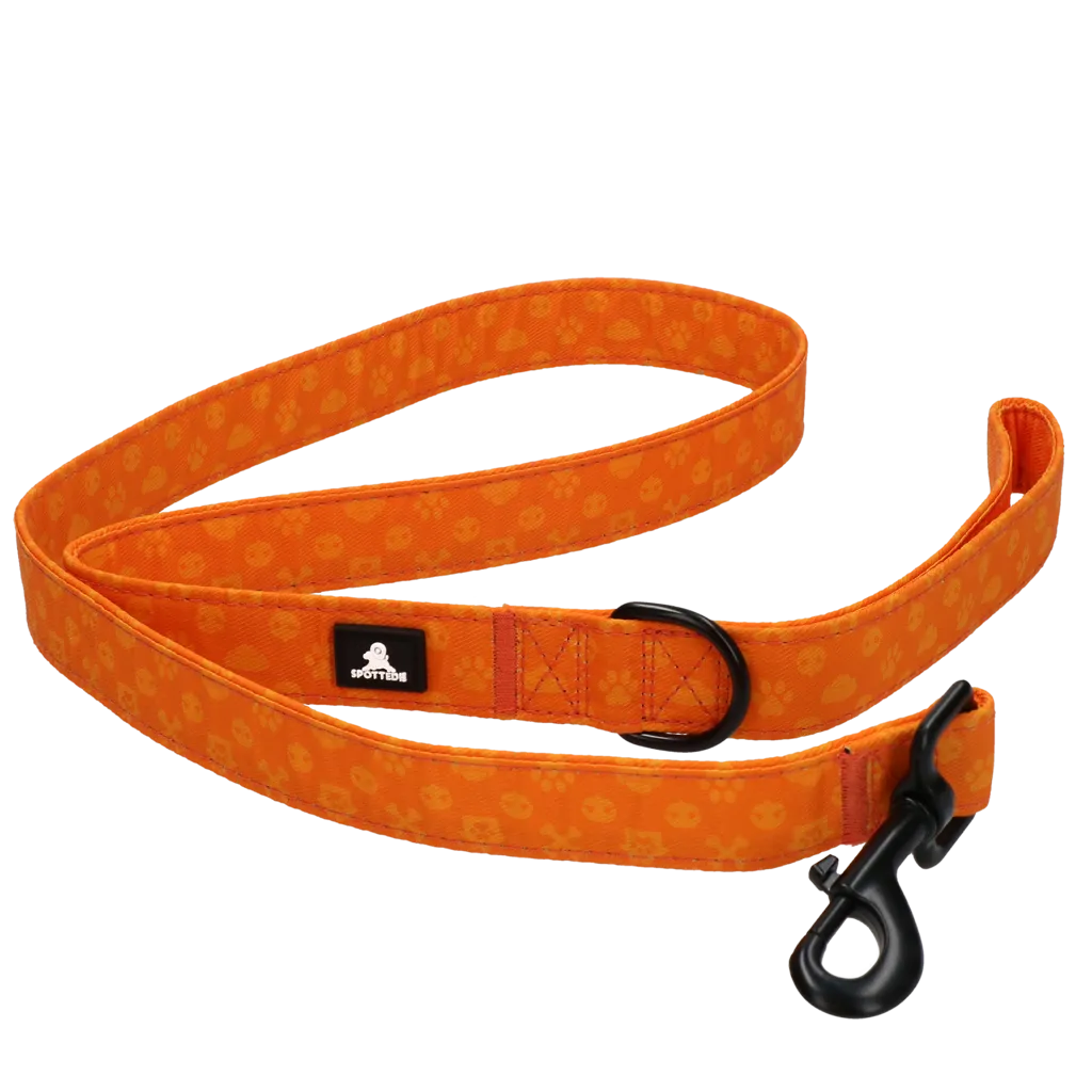 Spotted! Pro Perfect Leash 120 cm Orange
