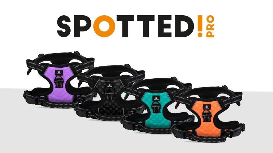 spotted-pro-no-pull-harnas-orange-xxs-145345