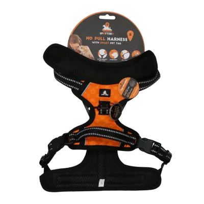 Spotted! Pro No Pull Harnas Orange S