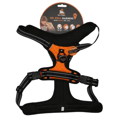 Spotted! Pro No Pull Harnas Orange XL