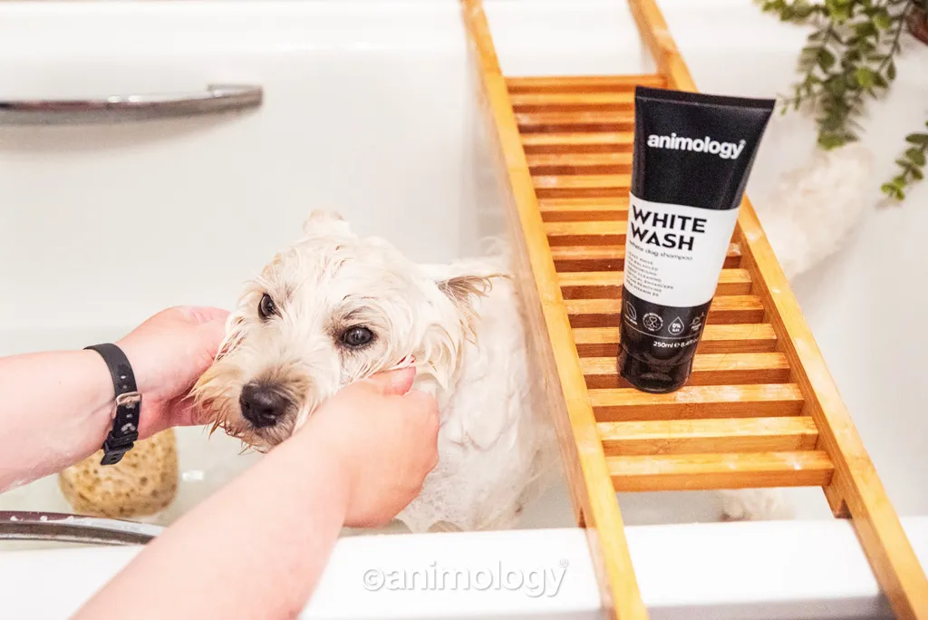 Animology White Wash Dog Shampoo 250 ml