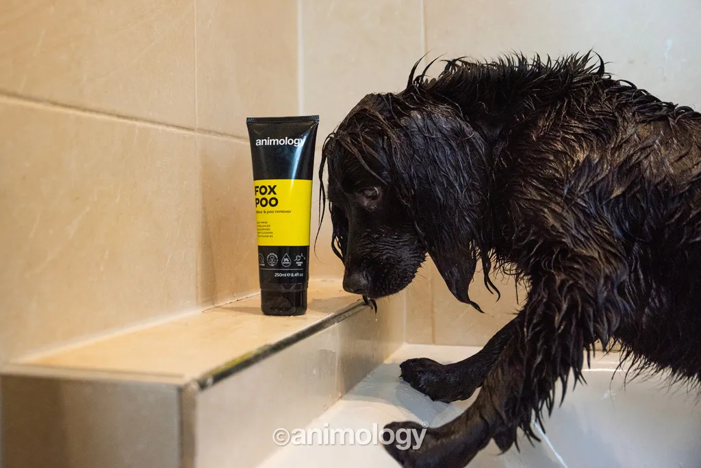 Animology Fox Poo Dog Shampoo 250 ml