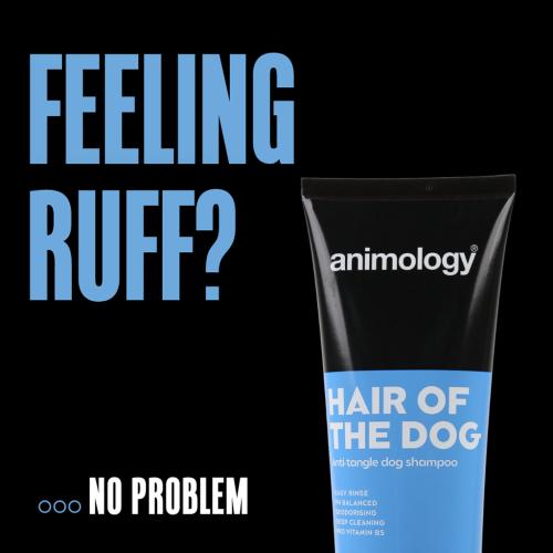 Animology Hair Of The Dog Anti-Tangle Dog Shampoo 250 ml