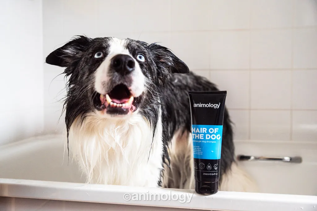 Animology Hair Of The Dog Anti-Tangle Dog Shampoo 250 ml
