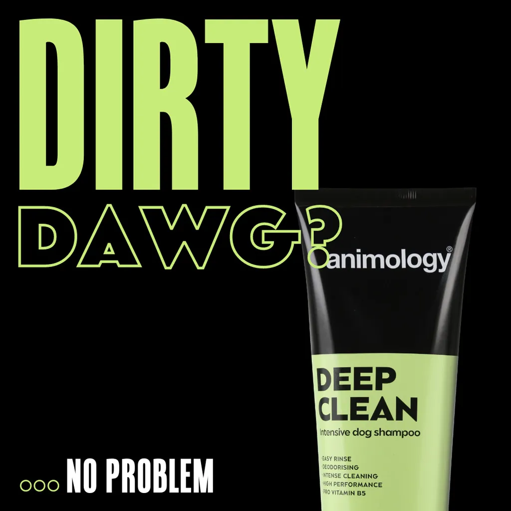 Animology Deep Clean Intensive Dog Shampoo 250 ml