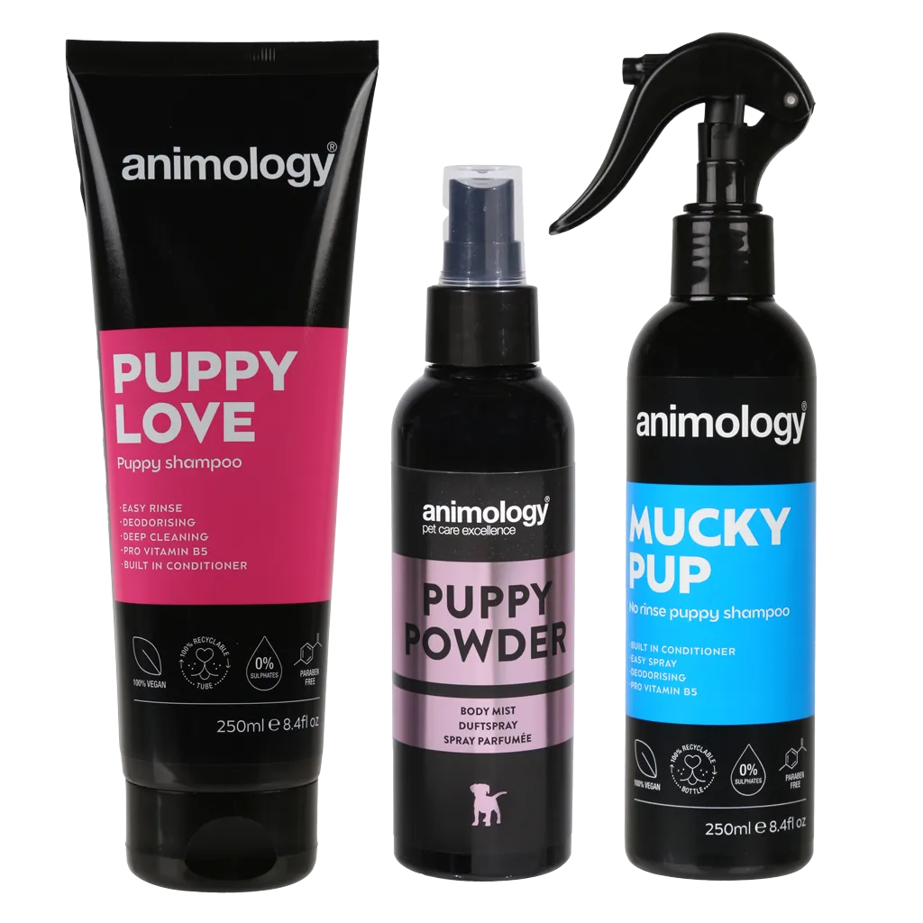 Animology My First Puppy Pack Welpenpflege Set