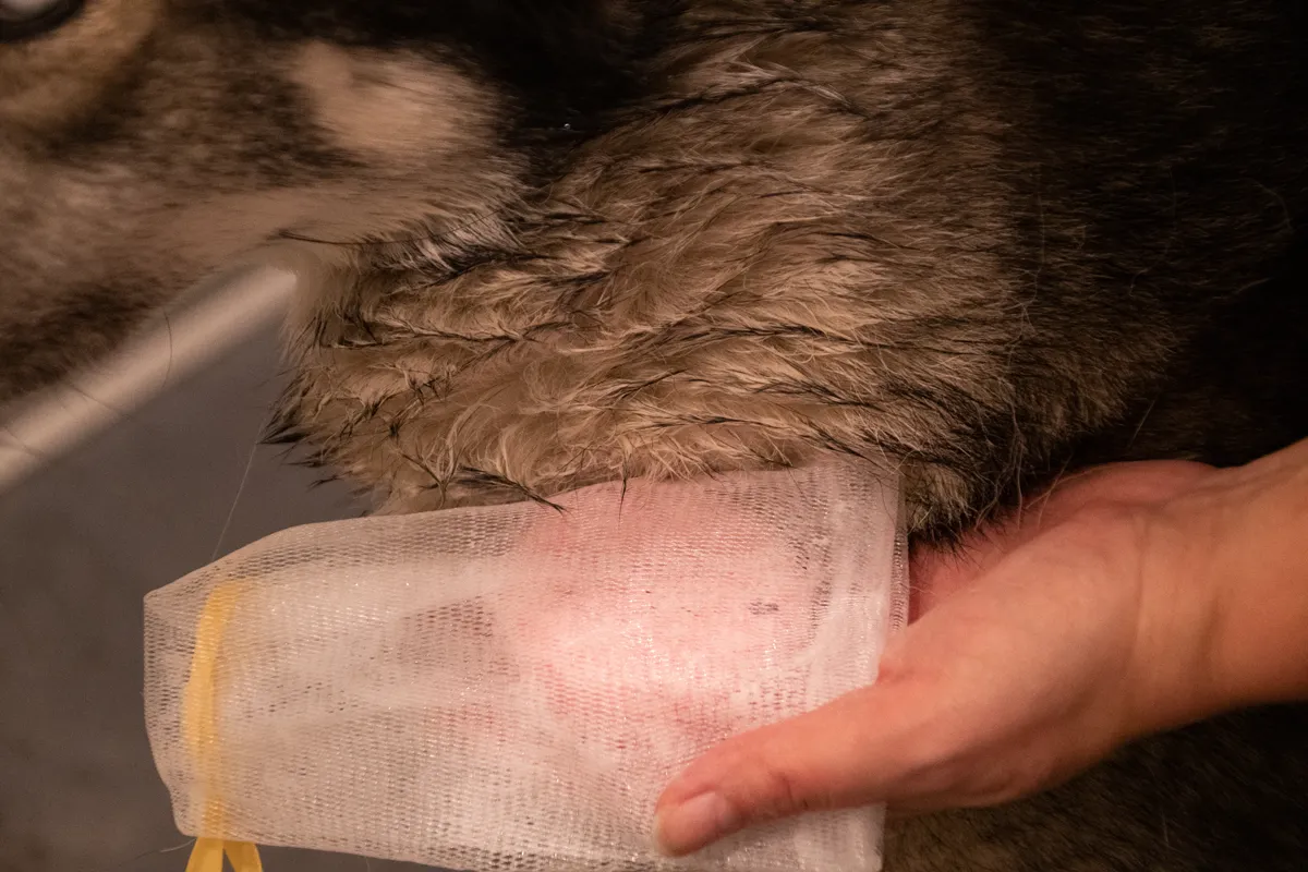 Groomers Secret Shampoo Bar Rose