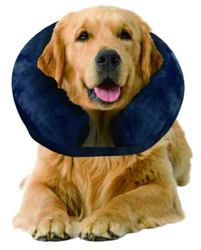 Pawise Inflatable Protective Collar M