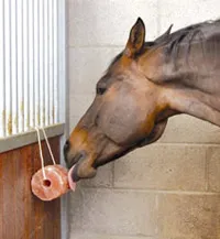 Excellent Horse Salt Lick Himalaya 2-3 kg (Mit Seil)