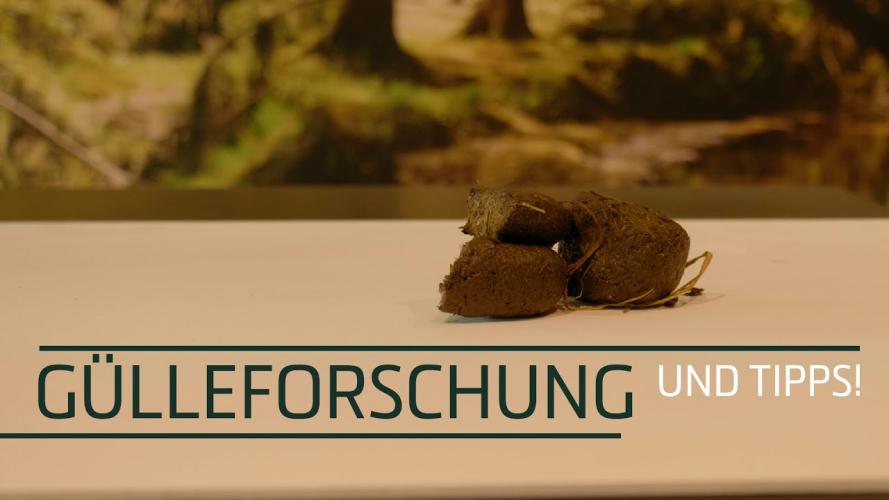 Excellent Horse Sand-Exit 1,5 kg