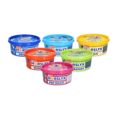 Package deal Horslyx Mini